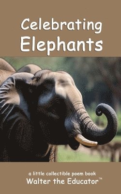 bokomslag Celebrating Elephants