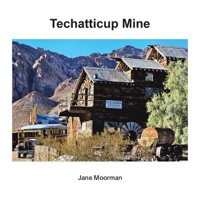 Techatticup Mine 1