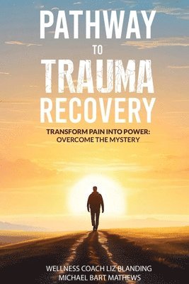 bokomslag Pathway to Trauma Recovery