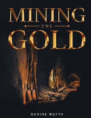 bokomslag Mining The Gold