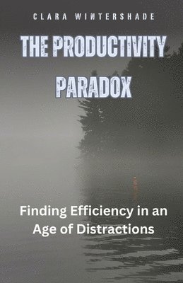 bokomslag Productivity Paradox