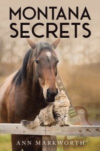 bokomslag Montana Secrets