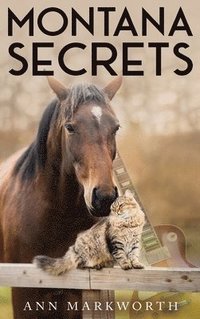 bokomslag Montana Secrets