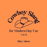 bokomslag Cowboy Slang for Modern Day Use - Vol. II