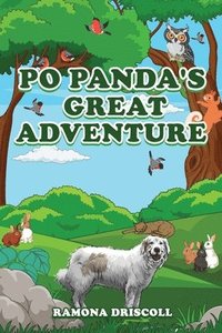 bokomslag Po Panda's Great Adventure