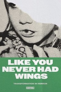 bokomslag Like You Never Had Wings