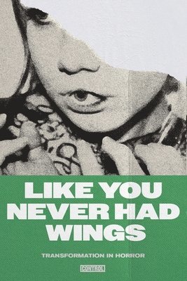 Like You Never Had Wings 1