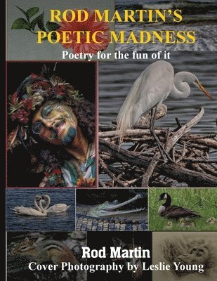 bokomslag Rod Martin's Poetic Madness