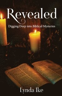 bokomslag Revealed -Digging Deep into Biblical Mysteries