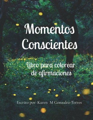 bokomslag Momentos Conscientes