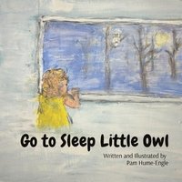 bokomslag Go To Sleep Little Owl