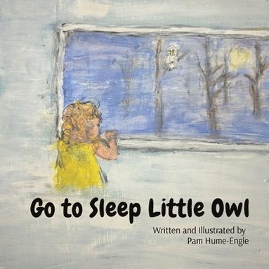 bokomslag Go To Sleep Little Owl