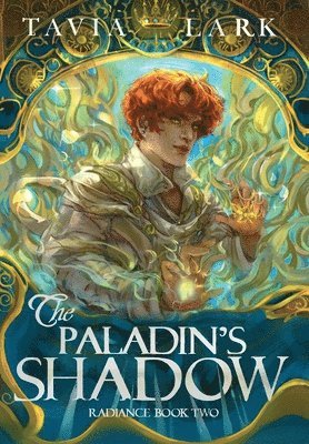 The Paladin's Shadow 1