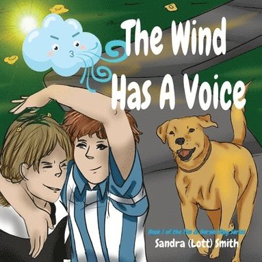 bokomslag Wind Has A Voice