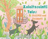 bokomslag Xoloitzcuintli Tales Itzli Pilli and Ozomatli