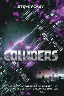 bokomslag Colliders