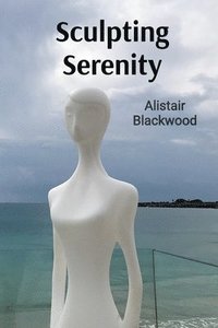 bokomslag Sculpting Serenity: Finding Inner Peace Through Clay and Stone