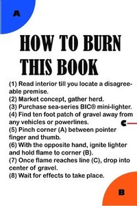 bokomslag How To Burn This Book