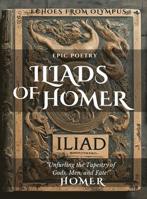 bokomslag The Iliad of Homer