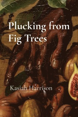 bokomslag Plucking from Fig Trees