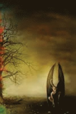 Hobbs - Chaos And Temptations, Häftad