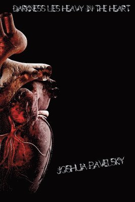 bokomslag Darkness Lies Heavy In the Heart