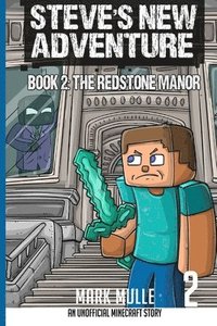 bokomslag Steve's New Adventure Book 2