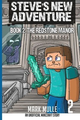 bokomslag Steve's New Adventure Book 2