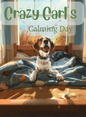 Crazy Carl's Calming Day 1