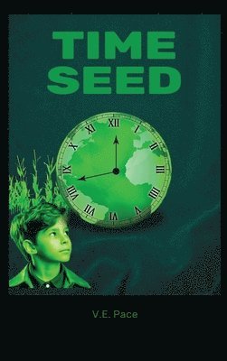 bokomslag Time Seed