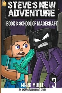 bokomslag Steve's New Adventure Book 3