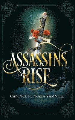 Assassins Rise