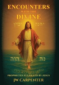 bokomslag Encounters with the Divine