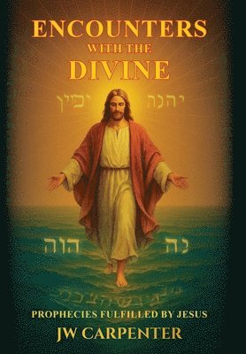 bokomslag Encounters with the Divine