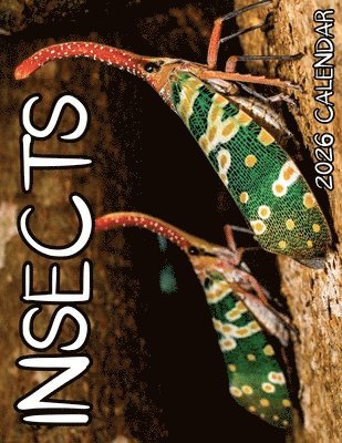 B Patrick, B. Patrick - Insects 2026 Calendar, Häftad