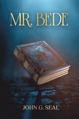 bokomslag Mr. Bede: A Fortuitous Glimpse into Fantasy Land