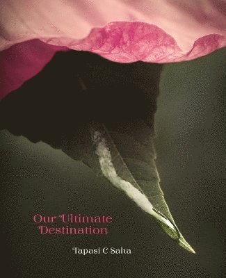 Tapasi C Saha - Our Ultimate Destination Paperback, Häftad. Tillgänglighet: Lägg i varukorg