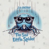 bokomslag Sad Little Spider