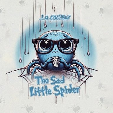 bokomslag Sad Little Spider
