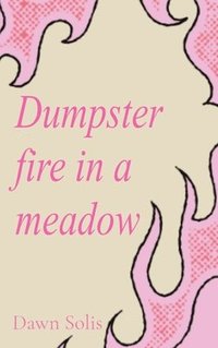 bokomslag Dumpster fire in a meadow