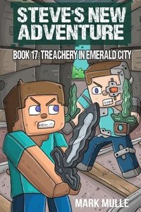 bokomslag Steve's New Adventure Book 17