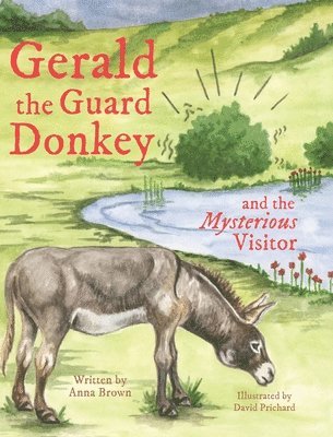 bokomslag Gerald the Guard Donkey and the Mysterious Visitor