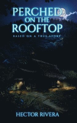 Perched On The Rooftop 1