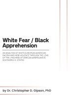 bokomslag White Fear / Black Apprehension: An Analysis of White European American Racism and Mob Violence Through the Lens Of The Lynching Of African Americans