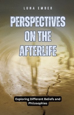 bokomslag Perspectives on the Afterlife