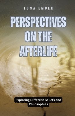 Perspectives on the Afterlife