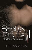 bokomslag Stolen Pieces III