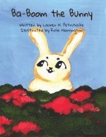 Ba-Boom the Bunny 1