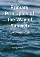 bokomslag The Primary Principles of the Way of Yahweh