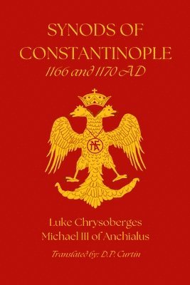 bokomslag Synods of Constantinople